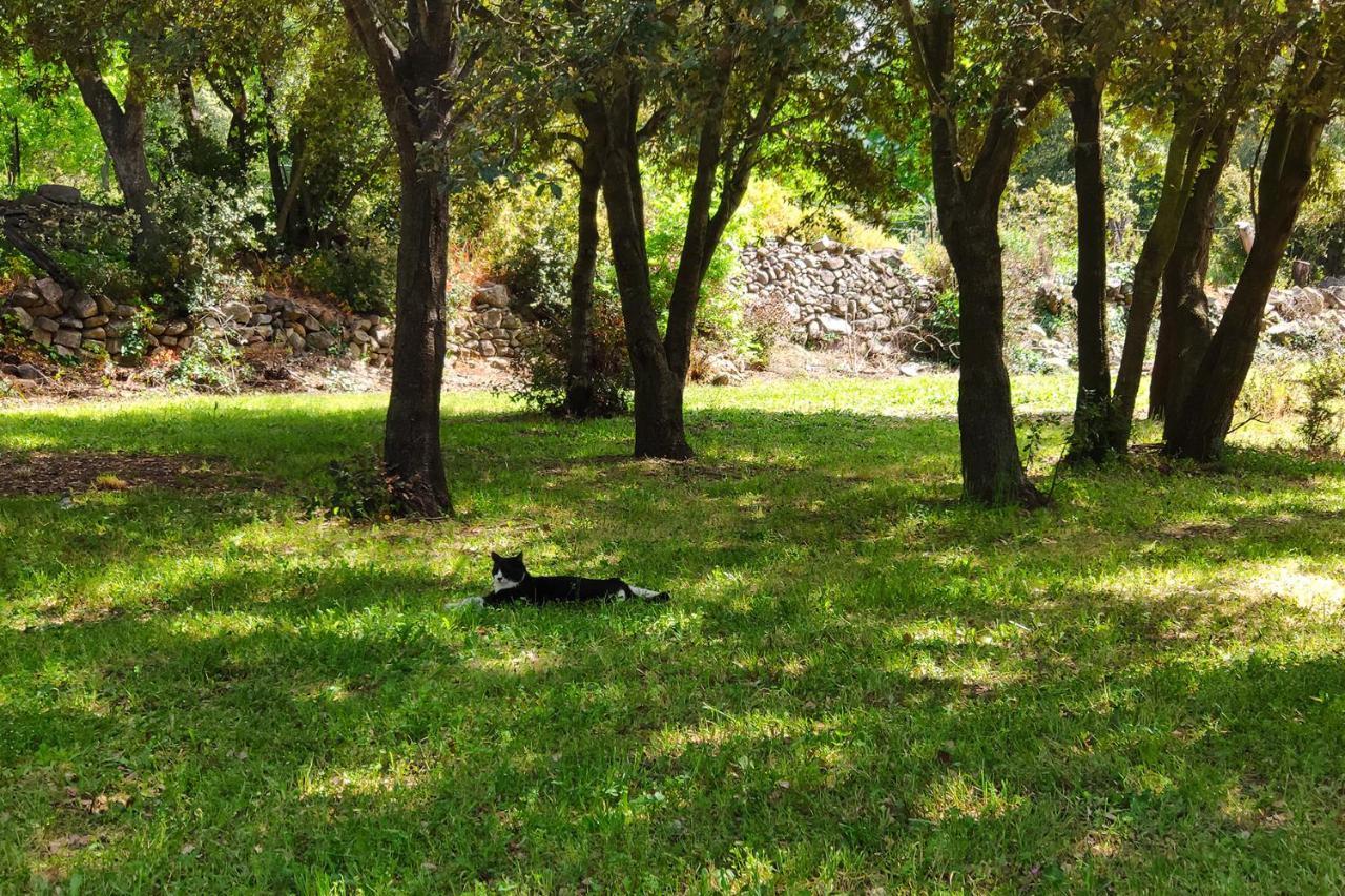 דירות קלנצאנה Casa Di U Cuginu מראה חיצוני תמונה